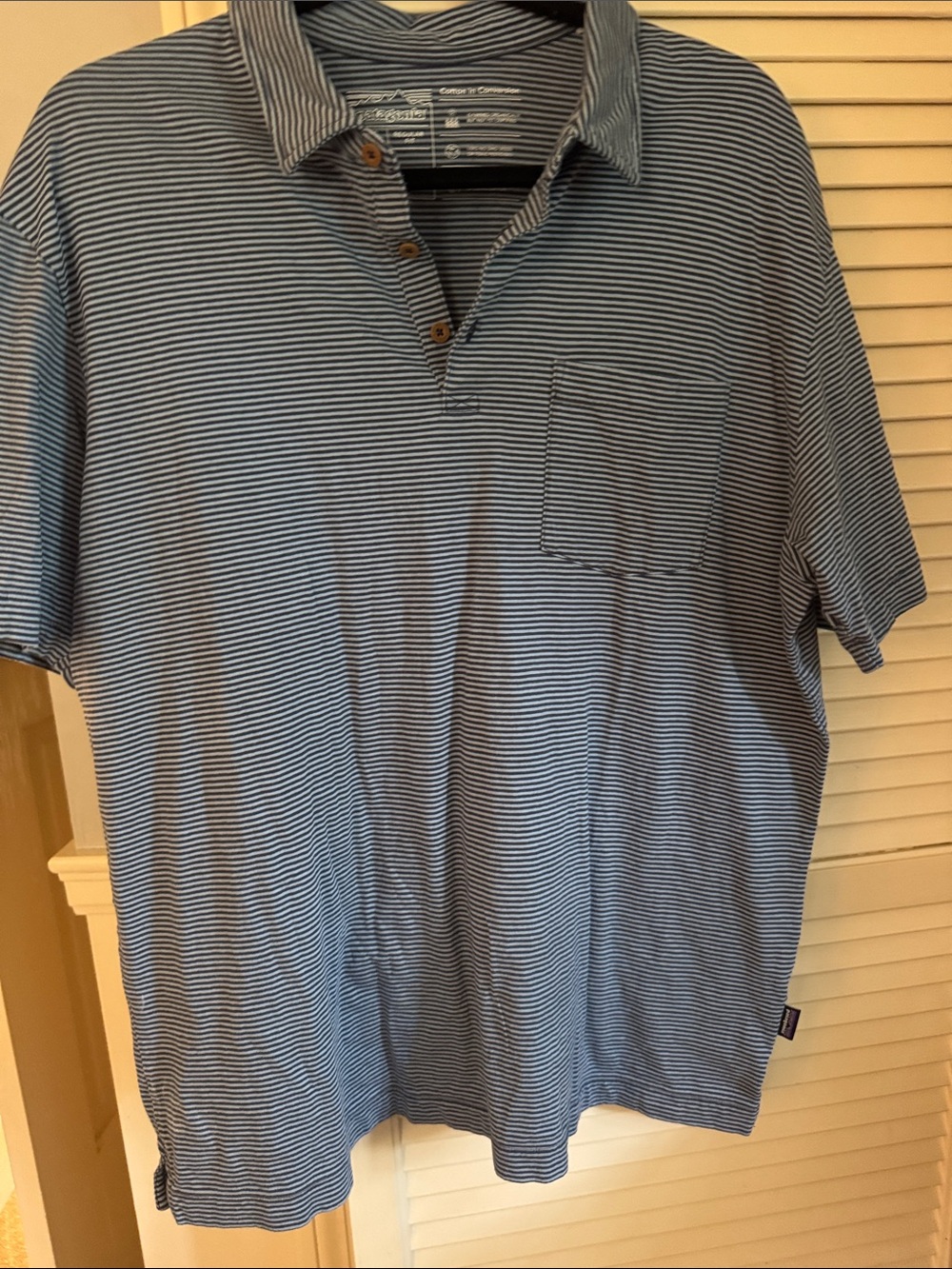 Patagonia Blue & White Micro-Striped Short-Sleeve Polo